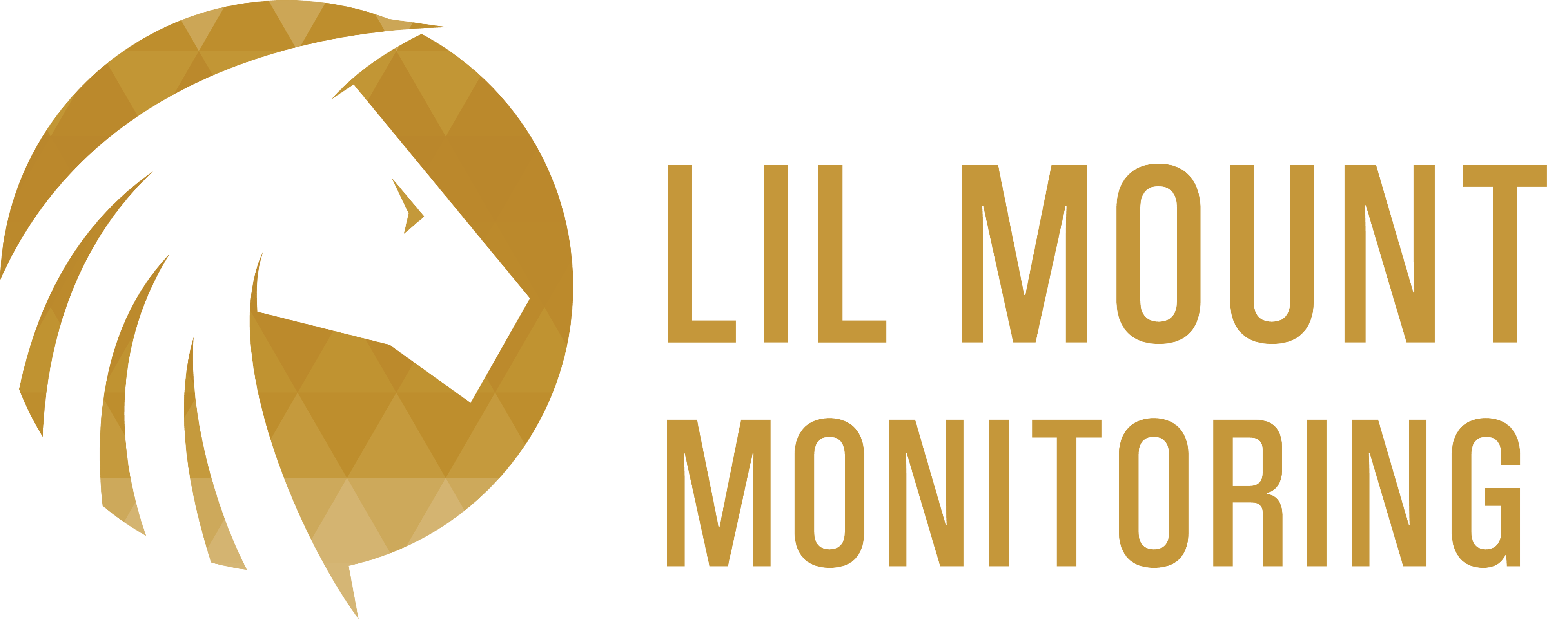 Lil Mount Monitoring Logo