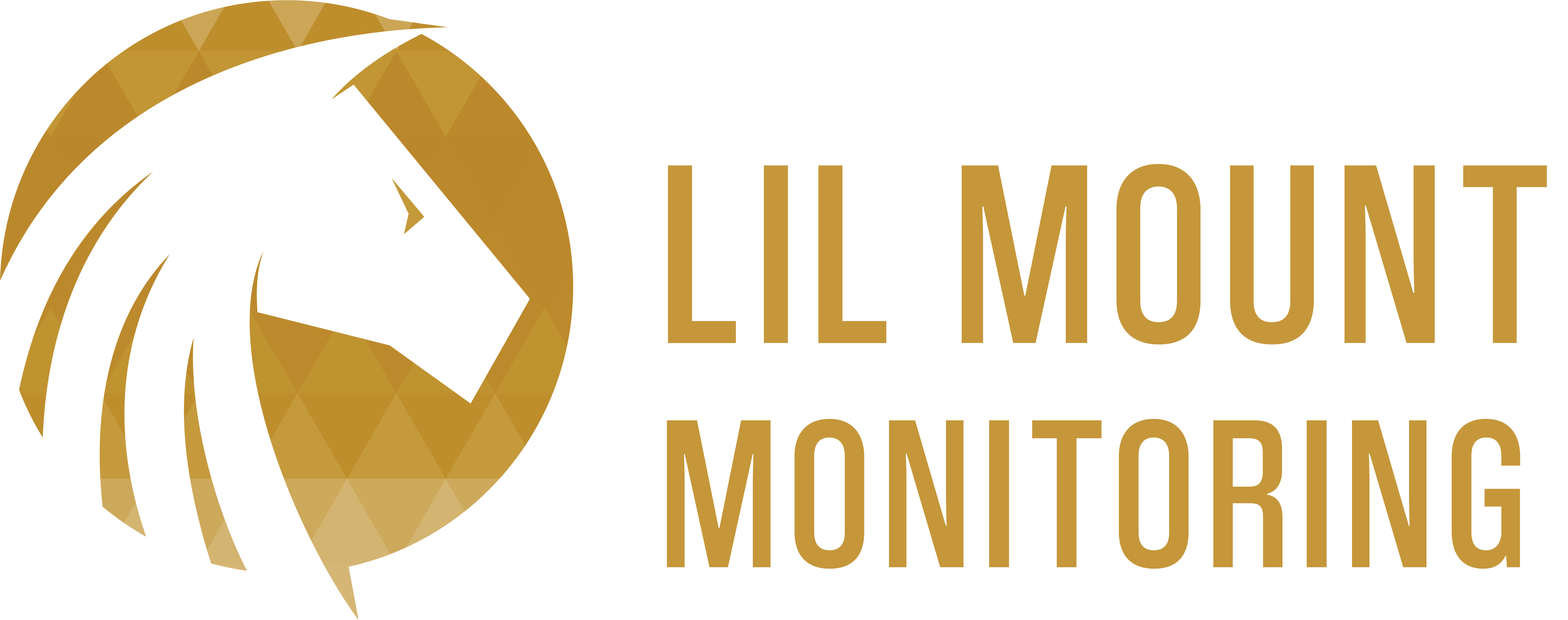 Lil Mount Monitoring – Geotechnical and Construction Monitoring Services in Vancouver